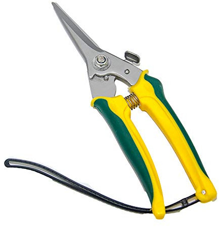 Rdeer Ciseaux à pied en acier carbone pour chèvre mouton Longueur 20,3 cm