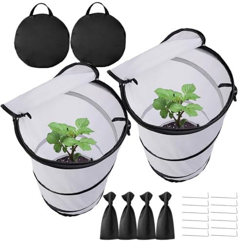 Wezalget Mini Serra Pop-up - 50x30 cm, Protezione per Piante a Molla in Tessuto Non Tessuto con Cerniera, coperture Portatili Anti-Neve e antigelo per Interni ed Esterni, Giardino, Cortile