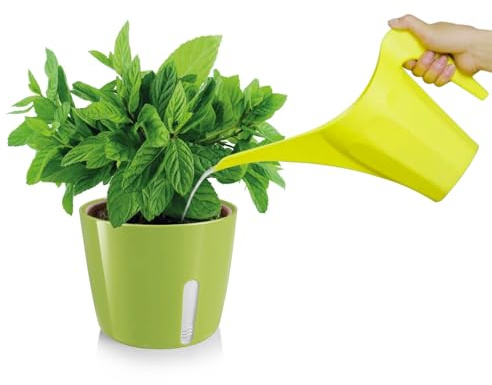 Zendea Macetero Redondo Verde 11 x 13,5 cm con Lado Transparente para el Control del Agua – Ideal para Cultivar pequeñas Plantas, Flores y Hierbas aromáticas en terraza o jardín – Resistente