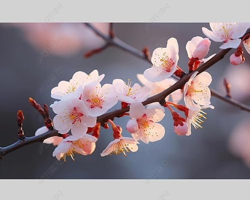 MZOwallpaper Papier Peint Intissé Fleurs De Prunier À La Chinoise Poster Tableaux Muraux Tapisserie Photo Trompe L'Oeil Salon Chambre Art Mural 200Cm(L) X140Cm(H)