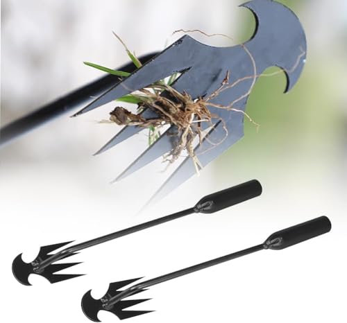 Topbashgo Gartenarbeit Hand Unkrautstecher, Fugenkratzer, Unkraut Entferner Gerät, Gartenwerkzeug, Unkraut Entferner Gerät, Fugenkratzer Mit Stiel (Langen Griff*2)