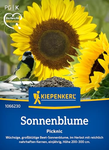 Kiepenkerl Sonnenblumensamen Picknic 1066230 – Hohe wüchsige Pflanzen für reichhaltige Ernten mit nahrhaften Kernen - Wildblumensamen, Blumenwiese, Saatgut