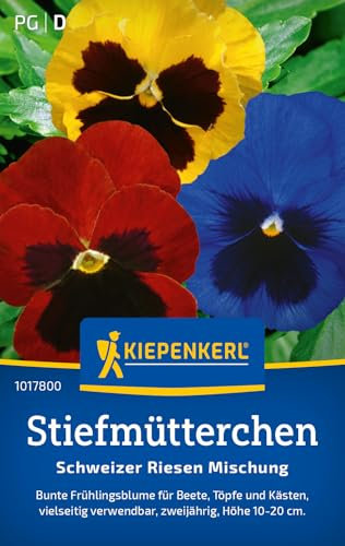 Kiepenkerl Stiefmütterchensamen Schweizer Riesen Mischung 1017800 - bunte Frühlingsblume für Beete, Töpfe und Kästen - Blumensamen, Blumenwiese, Saatgut