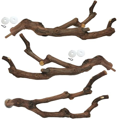 kathson Perchoir naturel pour perroquet - Bâton de raisin sauvage - Fourche à broyer les pattes - Jouet d'escalade - Branches debout - Jouet à mâcher - Accessoires pour petits perruches, calopsittes