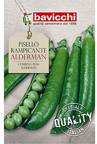 Bavicchi semi Pisello rampicante Alderman 500g