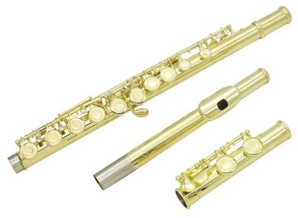Anfänger Flöte 16 Geschlossene Offene Löcher C-Tonart Professionelle Querflöte Konzertmusikinstrument Standardton(Gold)