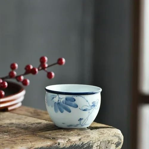 TPIONEER Taza de té de Porcelana Azul y Blanca con Pintura de Color Loto, Paisaje Pintado a Mano, Accesorios para té, Juego para Beber té