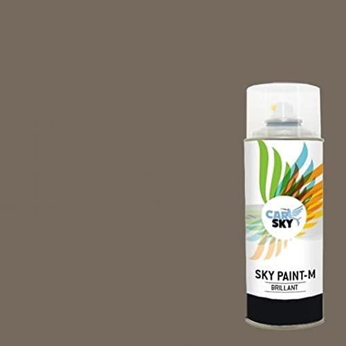 CARSKY Sprühfarbe RAL Grau Beige 7006 Hochglanzfinish 400ml