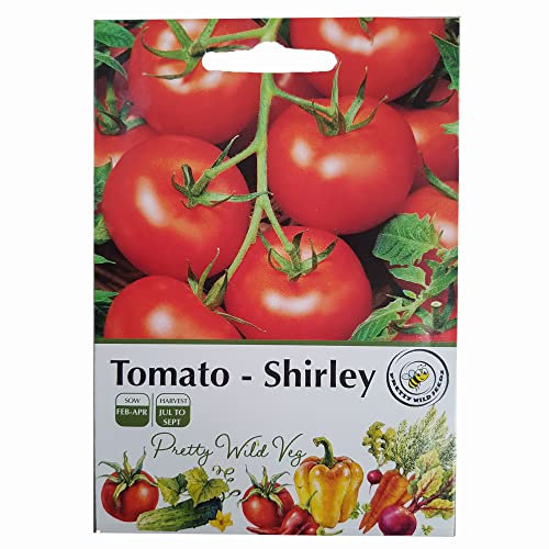 Tomato Shirley F1 Seeds Vegetable Fruit Seeds Veg Seeds Cabbage Carrot Sweetcorn Tomato Strawberry