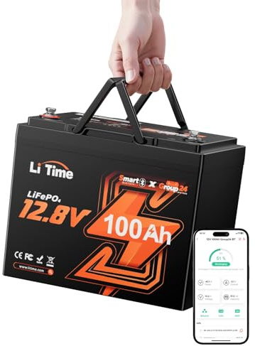 LiTime Lithium Batterie 12V 100Ah LiFePO4 mit Bluetooth für Wohnmobile | 100A BMS, 4000+ Tiefzyklen, IP65, Untertemperaturschutz, Group 24, 1280Wh, für Wohnwagen, Boote, Solaranlage