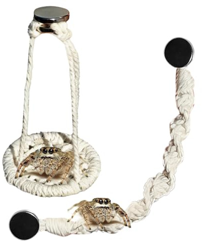 Décoration d'Enclos d'Araignée Sauteuse | 2 Pièces Hamacs Naturels en Corde de Coton | Accessoires pour Enclos D'Araignée Sauteuse - pour Intérieur Extérieur Jardin Terrarium Décoration Nature