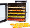 Vita5 Dörrautomat mit 6 Edelstahl-Dörrgitter - Dörrgerät mit Temperaturregler (30-90°C) – zum Trocknen von Obst, Gemüse und Fleisch - 400W 24H Timer-Funktion LED Display - Dehydrator Food Dryer