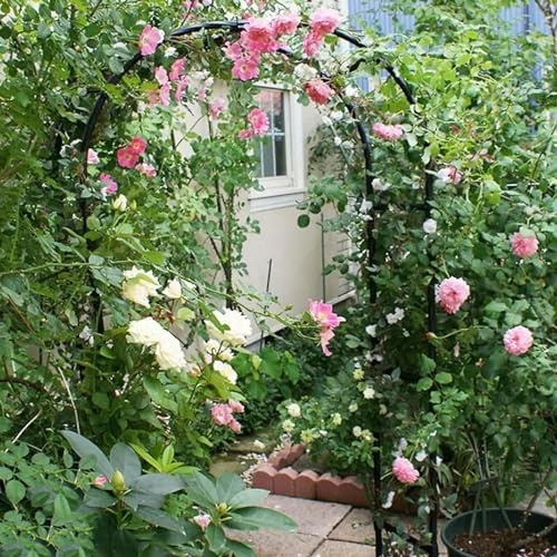 Arco de jardín para rosas trepadoras, arco de metal para rosas románticas de boda, ancho 80-350 cm, duradero (tamaño: ancho 350 x alto 220 cm)