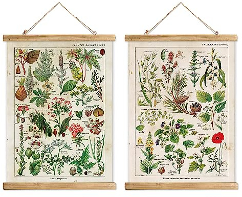 XIAOAIKA 2 Pack Vintage Plants Poster Hanger Frame, Retro Style Wall Decor Art Painting, Patterns are Printed on Linen Without Fading, Scrolls Made of Fir are Durable (16 x 23 inch)