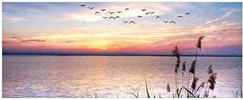 Wallario Glasbild Seepanorama mit Schilf und fliegenden Vögeln - 50 x 125 cm Wandbilder Glas in Premium-Qualität: Brillante Farben, freischwebende Optik