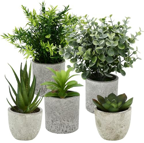 BUCOMTU 5 Stück Kunstpflanze, Mini Künstliche Pflanzen Schlangenzunge, Agave Sukkulente, Eagle Claw Aloe, Künstliche Pflanzen für Schlafzimmer Büro Dekoration (Originalfarbe)