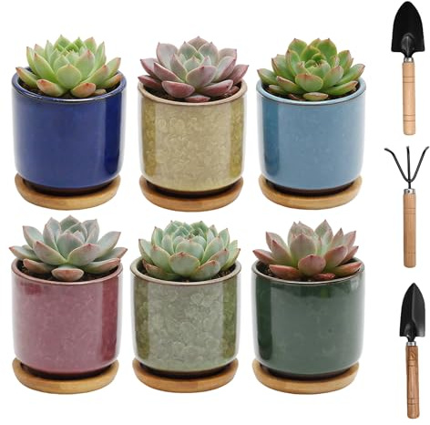 Hoypeyfiy 6 Stück Keramik Blumentöpfe, Elegantes Sukkulentengefäß aus Keramik, Praktischer Mini-Blumenbehälter, Ideal für Haus, Büro und als Geschenk