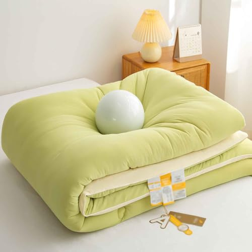 YWQJL Trapunta Invernale in Fibra di Soia, Piumone Invernale Spesso, Coperta Molto Calda E Super Morbida per 2 Persone, Trapunta in Microfibra, Piumone Trapuntato Reversibile(B,220 * 240cm/5.25kg)