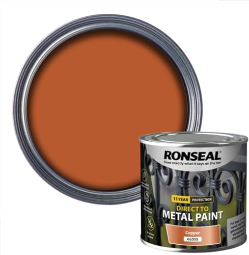 DUAYRA Metal Paint | Anti Rust Water Based | Quick Drying Formula | Long Lasting Finish | Metal Surface Paints | No Primer Needed | Tough, Durable & Weather Resistant | (Copper Gloss, 250ml)