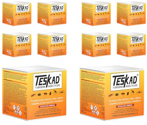 TESKAD Pack de 10 Fumigène Insecticide – Anti Puces, Punaises de Lit, Cafards, Mites, Araignées, Mouches, Moucherons – Action Choc Jusqu’à 250m³ – Traitement Intérieur Efficac
