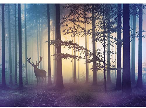 Runa Art Papel tapiz fotográfico 396 x 280 cm niebla bosque ciervos | Lana Decoración De Pared Sala Cuarto | Fabricación alemana | amarillo azul 9338012a