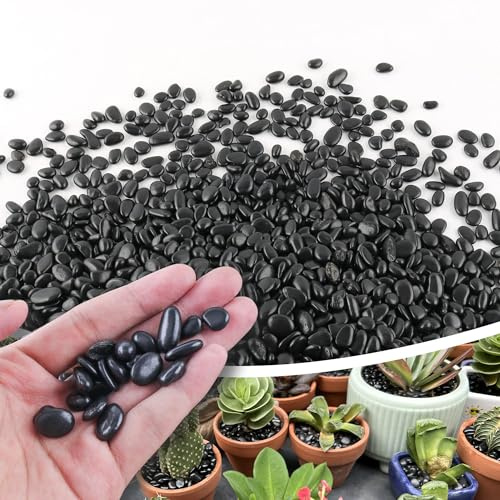 CJGQ Kleine Kieselsteine, schwarz, 1,1 kg, 0,6 cm, für Pflanzen, Eintopfen, Sukkulenten, Aquarium, Vasen, dekorativer Garten, polierte Kiessteine, Steine