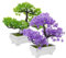 ABOOFAN 2pcs Artificial Bonsai Tree Potted Simulation Pine Realistic Fake Plant for Home Decor for Bedroom Office Compact and Decoration