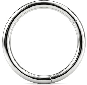 LAURITAMI Titan näsring ring ring 20G 18G 16G 14G titanlegering gångjärn klicker - näsa piercing smycken septum ring helix örhänge brosk tragus daith läpppiercing smycken, 6/8/10/12 mm, Titan