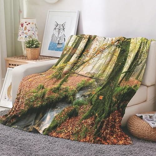 EHOMERY Mantas Grandes para Cama Cobijas De Invierno Gruesas Manta Sofa Verano Fresca Frazadas Cama Invierno Bosque Paisaje Manta Camping Suaves Y Cómodas Verde 100x70cm