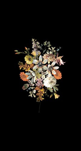 Esta Home Fototapete Blumenstillleben Multicolor auf Schwarz 150 x 279 cm