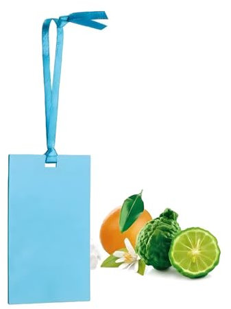 Avilia Carta Profumata per Armadi e Cassetti con Fragranza di Neroli, Menta, Gelsomino e Bergamotto - Ideale Anche per Rinfrescare e Profumare Ambienti Piccoli Come Bagni e Auto - Profumo Duraturo