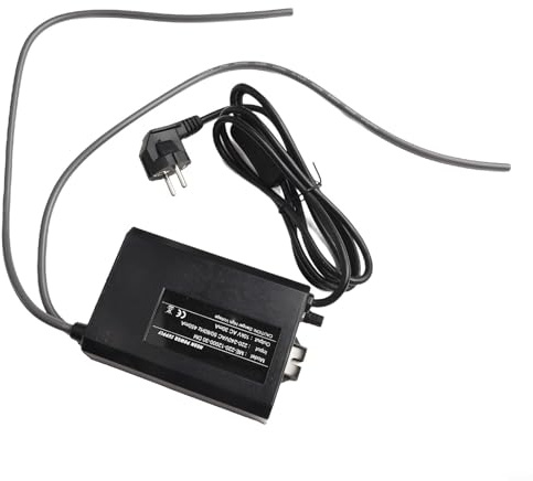 Transformateur de lumière néon électronique à intensité variable 10 kV 30 mA, alimentation haute tension pour panneaux néon LED avec protection contre la surchauffe, noir