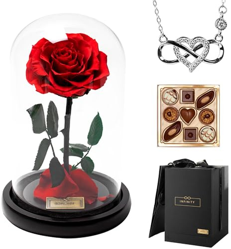 Infinity Flowerbox - Dome Rose im Glas inkl. Geschenkbox - 3 Jahre haltbare echte Infinity Rose, wie bei Die Schöne und das Biest, als Geschenk für Frauen mit Geschenkbox & Tüte (Set-Silber, Mini)