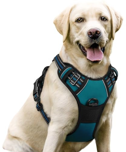 rabbitgoo Arnes Perros Grande Mediano Pequeño Arnés Pecho Antitirones Perros Coche con Lineas Reflectantes Cómodo Transpirable Chaleco Acolchado Ajustable para Adiesreamiento Tamaño L Verde Oscuro