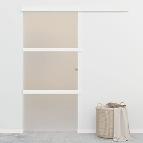 IKAYAA Puerta Corredera de Cristal 90x205 cm para Sala, Salón y Oficina - Plateado