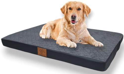 Odolplusz Orthopädisches Hundebett Grosse Hunde | Hundekissen für mittelgroße und große Hunde | Hundematratze mit Waschbarem Bezug | (Graphit, 80x60x7cm)