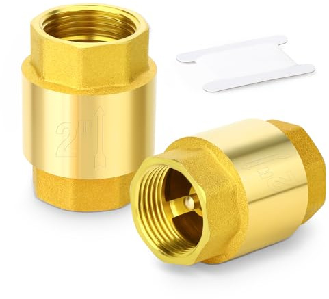 TAILONZ PNEUMATIC 2 Stück Messing-Rückschlagventil 2 Innengewinde, Rückflussverhinderung, Einweg-Rückschlagventile