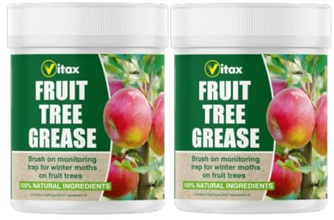 Vitax Fruit Tree Grease 200g Protects Fruit Trees from Pests, Diseases & Winter Damage Ideal for Apples Pears Plums Cherries & More Effective Insect Barrier Suitable For Organic Gardening pack of 2