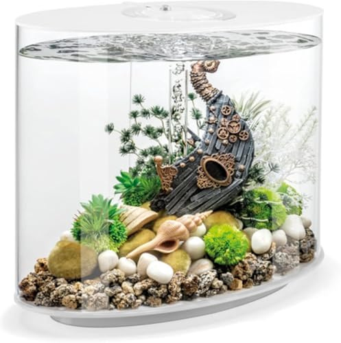 biOrb 86470 Loop 30 MCR weiß - Acryl-Aquarium mit MCR-Lichteinheit, Komplettset in außergewöhnlicher Form
