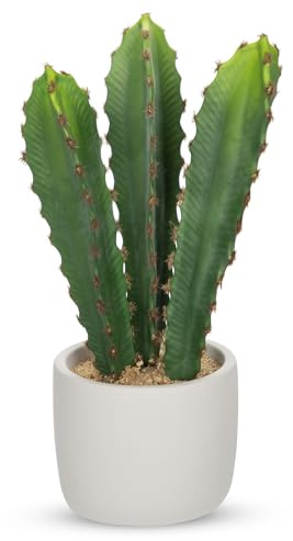 Oairse Plantas de cactus artificiales de 42 cm, plantas de cactus artificiales para interiores, plantas suculentas de desierto falso, plantas artificiales para interiores con maceta, decoración de