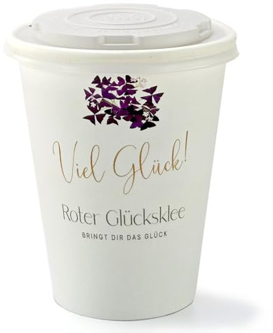 MacFlowers® Flower2Grow | Viel Glück Glücksklee Herzblatt | Anzuchtset im Bio 2Go Becher | Das liebe Geschenk für Freundin | Öffnen Gießen Freuen | Wünsche Glück als Blumengruß Geschenk