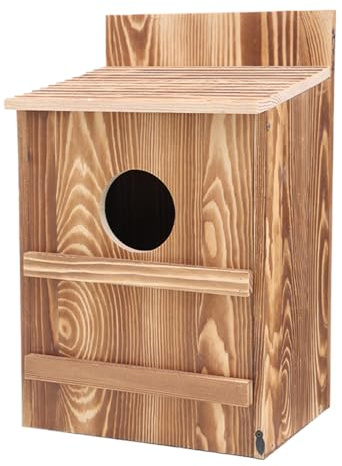 Birgin für Eulen – Nistkasten für Eulen | Aufbewahrungsbox für Vögel | Außenring mit kreisförmiger Öffnung | einfache Montage, großer Nistkasten für Turmfalen | inkl. D