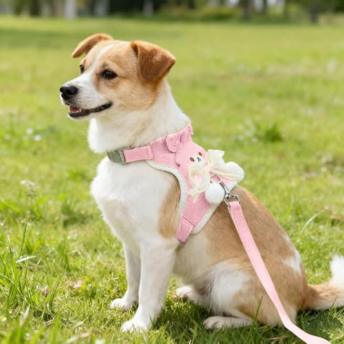 Ensemble harnais et laisse pour chien, motif dessin animé, maille respirante, gilet réglable avec nœud (rose, S)