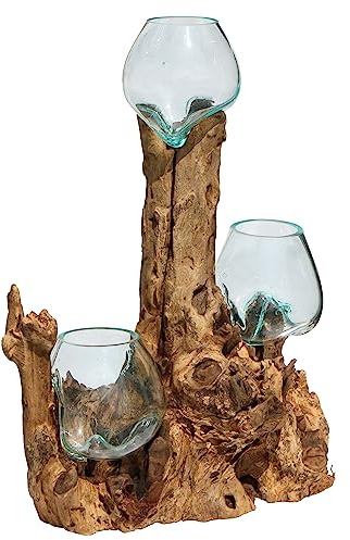 Wogeka - 3er Glas-Vase auf Wurzel-Holz Gamal - im modernen Style aus Holz als Geschenk-Idee zu Weihnachten Geburtstag Dekoration (TRIO10 (Ø Glas 10 cm))