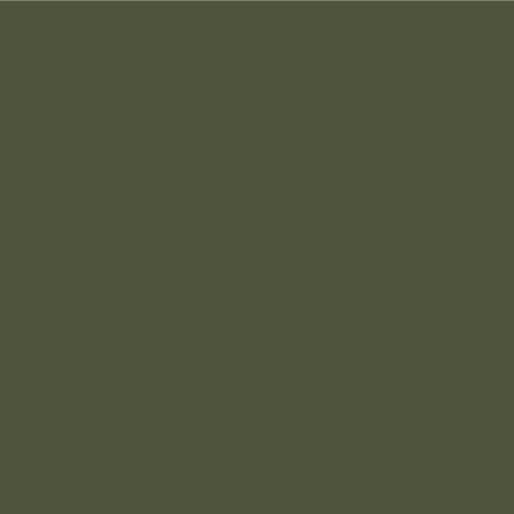 Mipa Protector Set tönbar inkl. Härter + RAL Pigment - 2K-PU-Acryllack (RAL 6003 OLIVGRÜN)