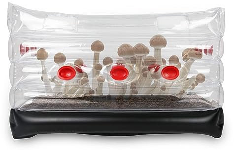 banapoy Mushroom Monotub Kit, Home Inflatable Mushroom Grow Tent Kit, Mycology Mushroom Grow Bags with Plugs, Filters and Pump for Fresh Air Exchange