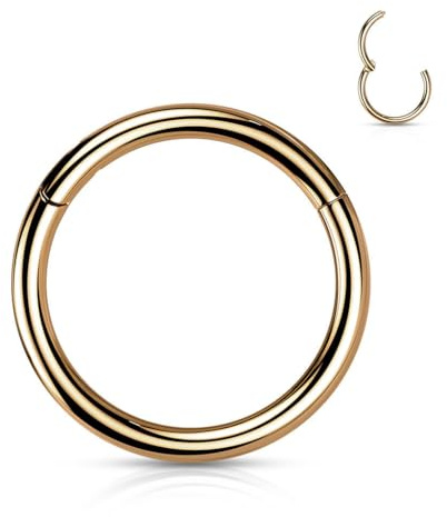 Stachelkleid Nasenpiercing Ring Clicker aus Titan – Septum Piercing Helix Conch Tragus Nostril – Nasenring Segmentring Scharnier – Viele Größen – Gold, Silber und weitere Farben