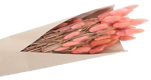 Strauß Lagurus 100g 72 cm Trockenblumen Schilfgras Deko Geburtstag Hochzeit dekorativ Wohnaccessoire Tisch-Deko Basteln (Rosa)