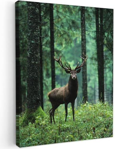 MuchoWow© Wandbilder Schlafzimmer Home Deko Wohnung Bild Wohnzimmer - Natur | 50x70 cm - Fotoleinwand Wand Bilder Leinwand Wall Decor Hirsch - Rotwild - Reh - Wald - Bäume - Tiere