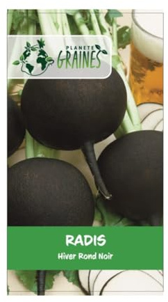 1000 graines Radis rond noir hiver - radish - radis gros rond hiver noir - black globe -